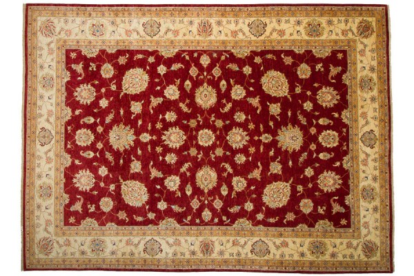 Afghan Chobi Ziegler 250x350 Handgeknüpft Teppich Rot Orientalisch Kurzflor