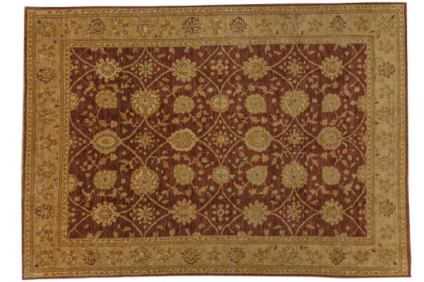 Afghan Chobi Ziegler carpet 280x380 hand-knotted brown oriental Orient short pile