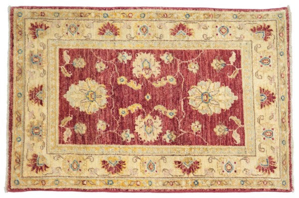 Afghan Chobi Ziegler Rug 80x80 Hand-Knotted Red Floral Orient Short Pile Living Room