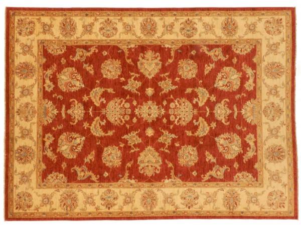 Afghan Chobi Ziegler Rug 170x240 Hand Knotted Red Floral Pattern Orient Short Pile