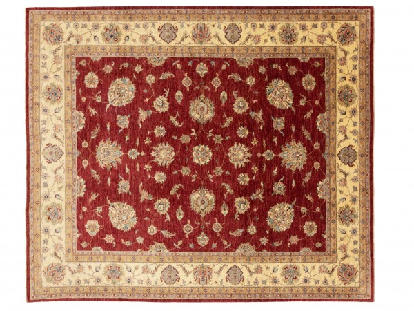 Afghan Chobi Ziegler Rug 250x300 Hand Knotted Square Red Floral Pattern Orient