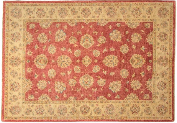 Afghan Chobi Ziegler 170x240 Handgeknüpft Teppich Rot Orientalisch Kurzflor