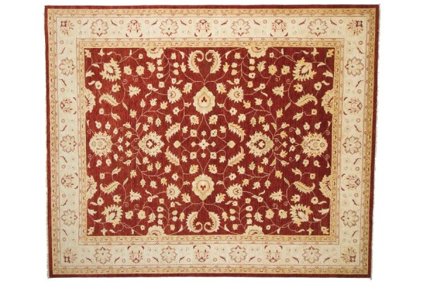 Afghan Chobi Ziegler 250x300 Handgeknüpft Teppich Rot Orientalisch Kurzflor