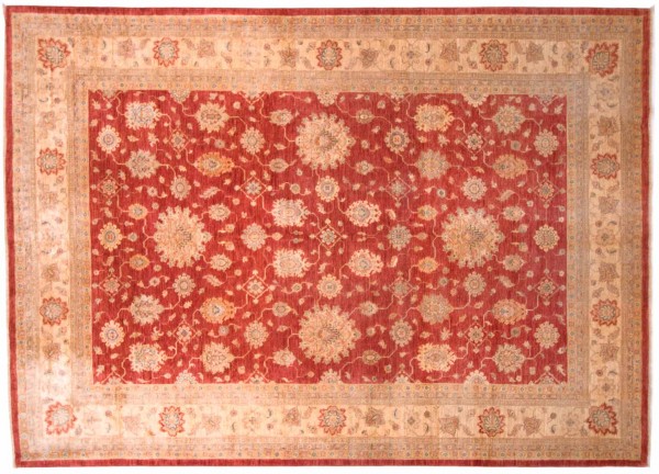 Afghan Chobi Ziegler Fein 250x350 Handgeknüpft Teppich Beige Blumenmuster