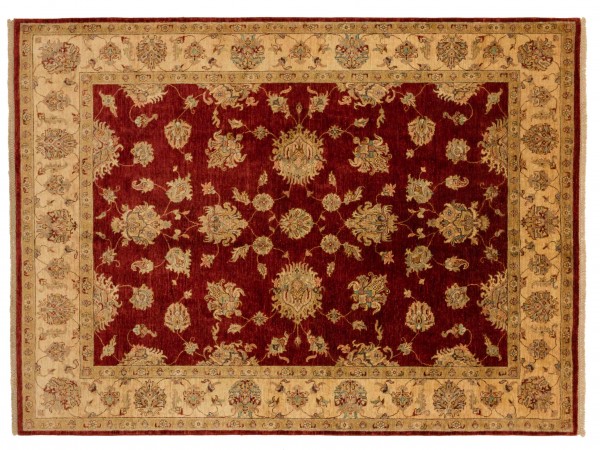 Afghan Chobi Ziegler Rug 200x250 Hand Knotted Red Floral Pattern Orient Short Pile