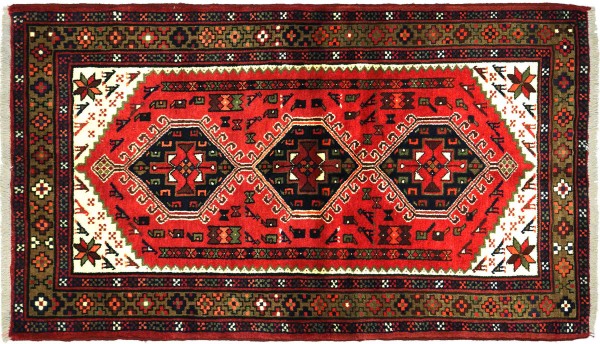 Persian Hamadan Bird Carpet 100x150 Hand Knotted Red Medallion Orient Short Pile
