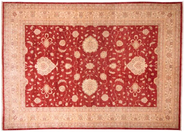 Afghan Chobi Ziegler Fein 250x350 Handgeknüpft Teppich Rot Orientalisch