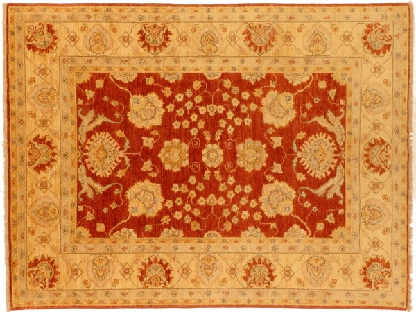 Afghan Chobi Ziegler carpet 170x240 hand-knotted red oriental Orient short pile