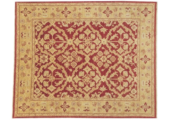 Afghan Chobi Ziegler carpet 250x300 hand-knotted gold floral pattern Orient short pile