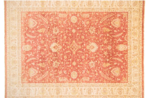 Afghan Chobi Ziegler 400x500 Handgeknüpft Teppich Rot Orientalisch Kurzflor